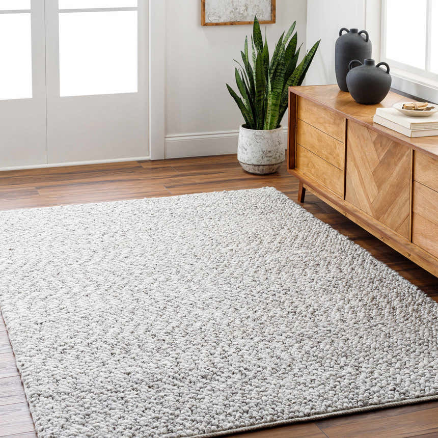 Living room scene with a light gray Chole Area Rug, wood floors, and a mid-century modern cabinet. Roomscene-Rectangle