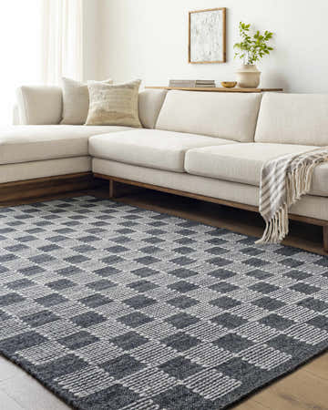 Living room scene with a cream sofa and the charcoal and cream Thijs Area Rug. Roomscene-Rectangle
