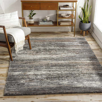 Living room with the Tigaon Luxe Thick Area Rug in brown, gray, and cream, styled with a mid-century modern chair and console table. Roomscene-Rectangle