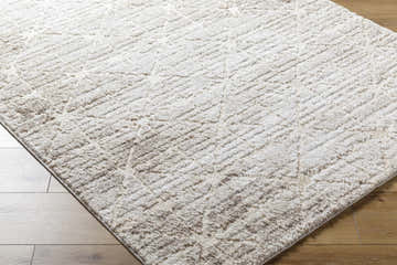 Close-up of the Tyree Area Rug in ash and light silver, showing its geometric pattern and soft, textured pile. Corner