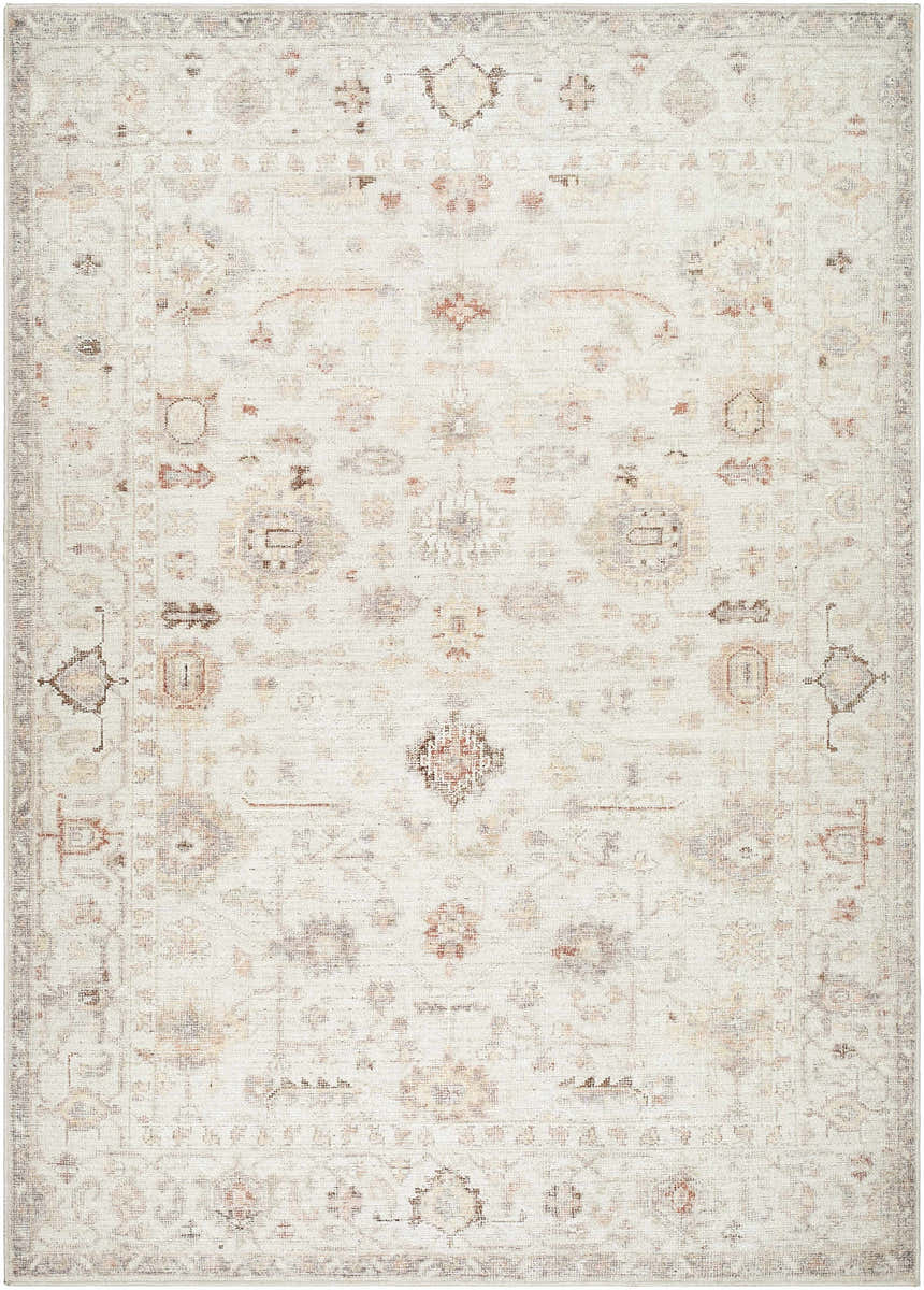 Close-up of the Verna Area Rug. Traditional rug design in ivory, dark brown, dusty coral, gray, peach, and sage. Design-Rectangle