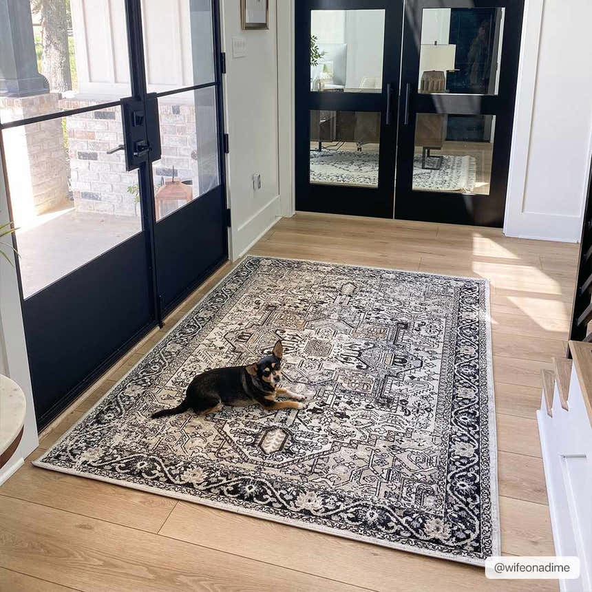 Entryway with black framed doors and a Cabacungan Washable Area Rug in black, gray, and beige. A small dog rests on the rug. Roomscene-Rectangle