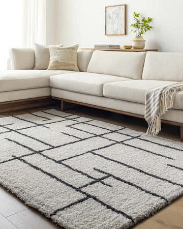 Living room scene with a white sectional sofa and the Xenos Area Rug, a white rug with a black geometric pattern. Roomscene-Rectangle