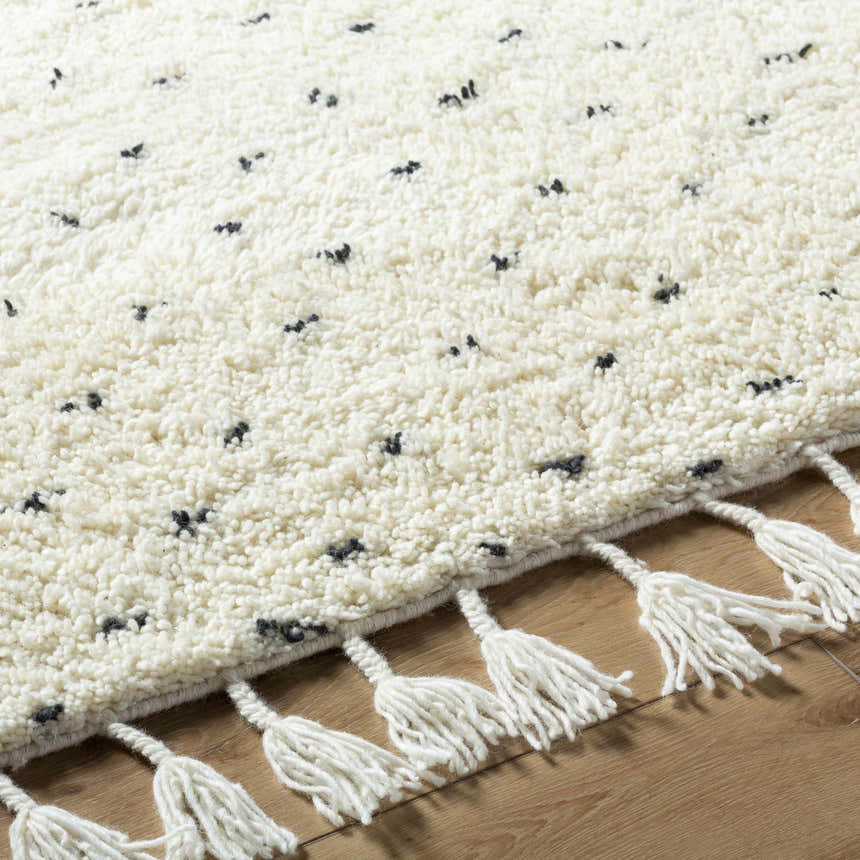 Close up of the hand woven Yuuna Area Rug. Pearl wool rug with black accents and white tassels. Texture