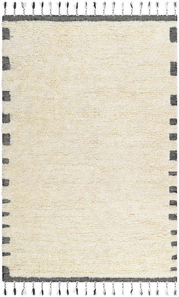 Close-up of the pearl Yamin Area Rug. Hand-woven wool rug with black striped border and tassels. Farmhouse style. Design-Rectangle-576