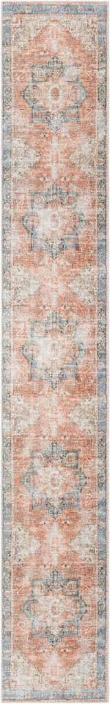 Close-up of the Livabliss Amelie AML-2309 washable area rug. Traditional design in beige, dusty pink, rust, and light blue. Design-Runner-2714