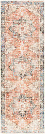 Close-up of the Livabliss Amelie AML-2309 washable area rug, featuring a traditional design in beige, rust, and light blue tones. Design-Runner-2710