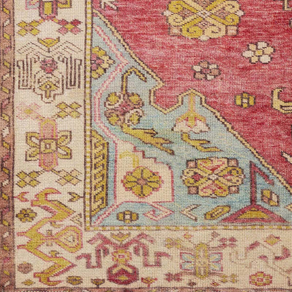 Sample Anopog Washable Area Rug - Clearance