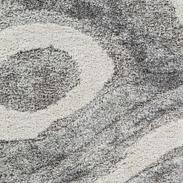 Sample Asfordby Gray Canyon Plush Rug