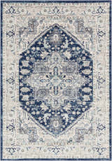 Close-up of the Livabliss Chester CHE-2313 rug. Traditional rug design in beige, charcoal, navy, sage, and sky blue. Design-Rectangle