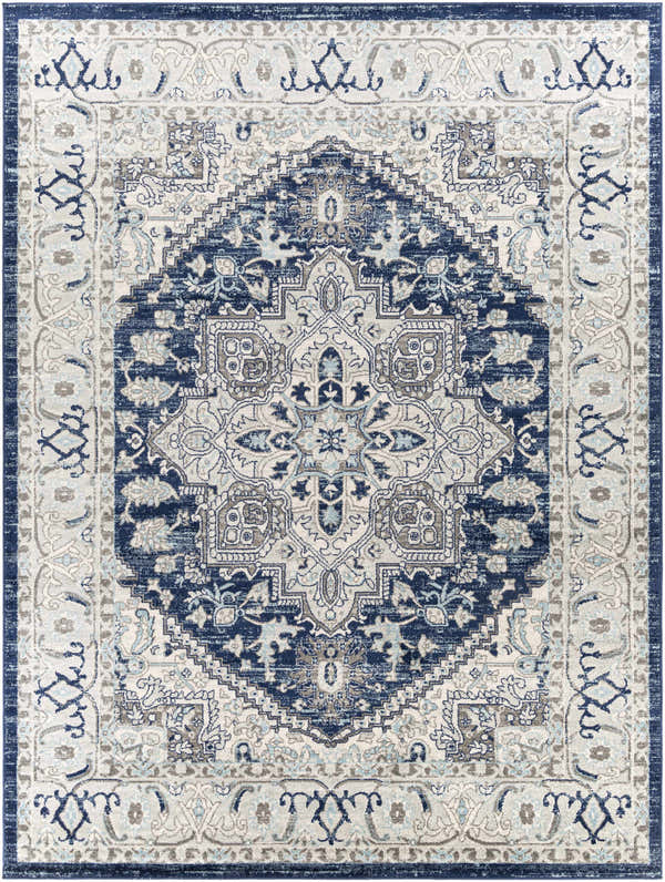 Detailed view of the Livabliss Chester Surya CHE-2313 area rug. Features beige, charcoal, navy, and sky blue traditional patterns. Design-Rectangle