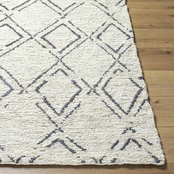 Close-up of Barlig Beige Trellis Jute Carpet showing hand woven texture and geometric black trellis pattern on wood floor. Front