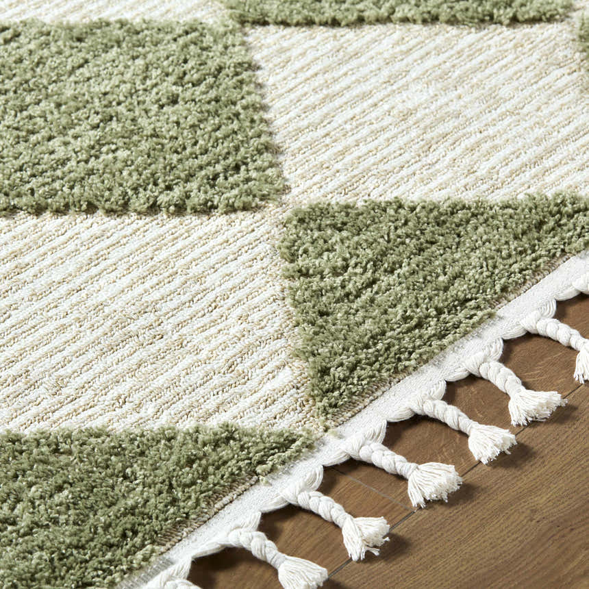 Close-up of Aitana Area Rug showing cream and olive green squares and braided fringe detail. Texture