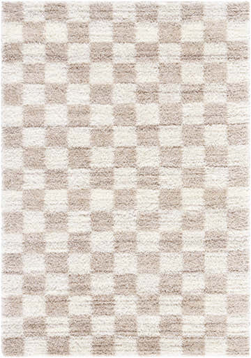 Close-up of the Belita Beige Luxe Shag Area Rug, showcasing a cream and tan checkerboard pattern and plush, shag texture. Design-Rectangle-537