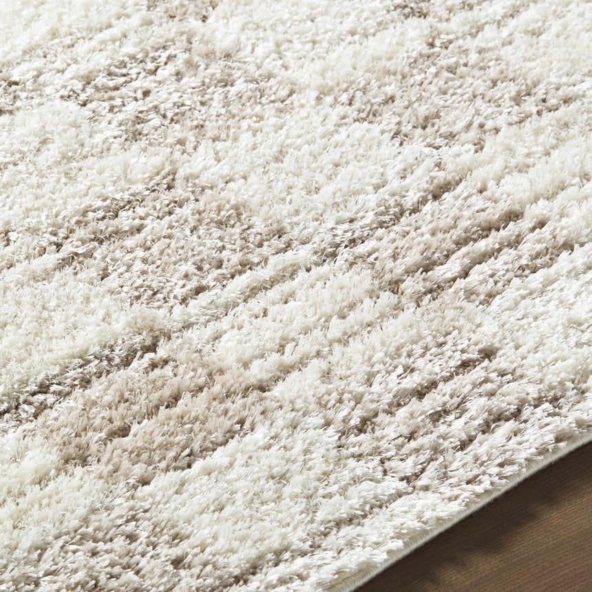 Close-up of the Belita Beige Luxe Shag Area Rug. Cream, ivory, and tan shag texture. Contemporary style. Texture