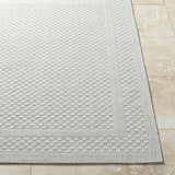 Close-up of the light silver Brinda Area Rug showing its contemporary woven texture and rectangular shape. Front