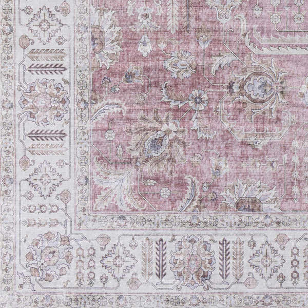 Sample Bergman Distressed Red Area Rug