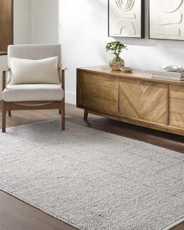 Living room scene with a gray Brenta Area Rug, light wood furniture, and neutral decor. Roomscene-Rectangle
