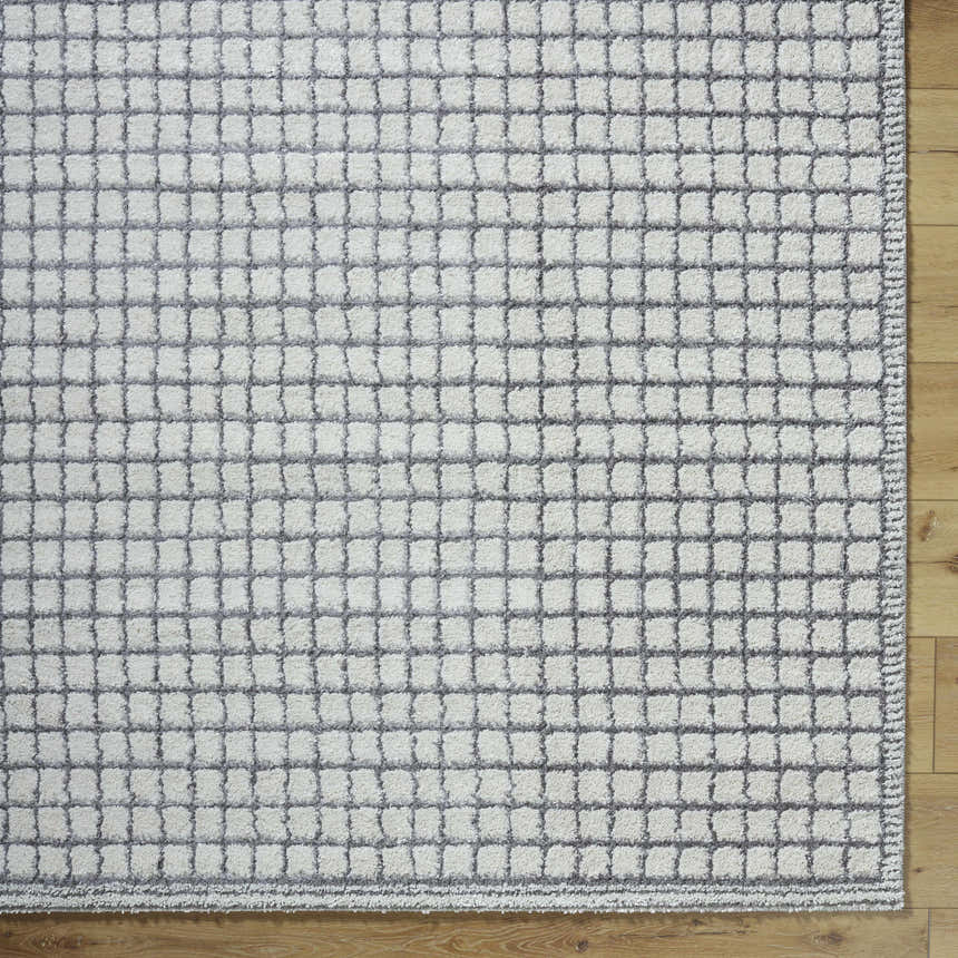 Close-up of the Balint Area Rug featuring a charcoal grid pattern on light gray, machine-woven texture. Corner