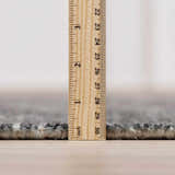 Close-up of the Janek II Modern Abstract Area Rug showing its pile height with a ruler. Neutral colors and soft texture. Pile