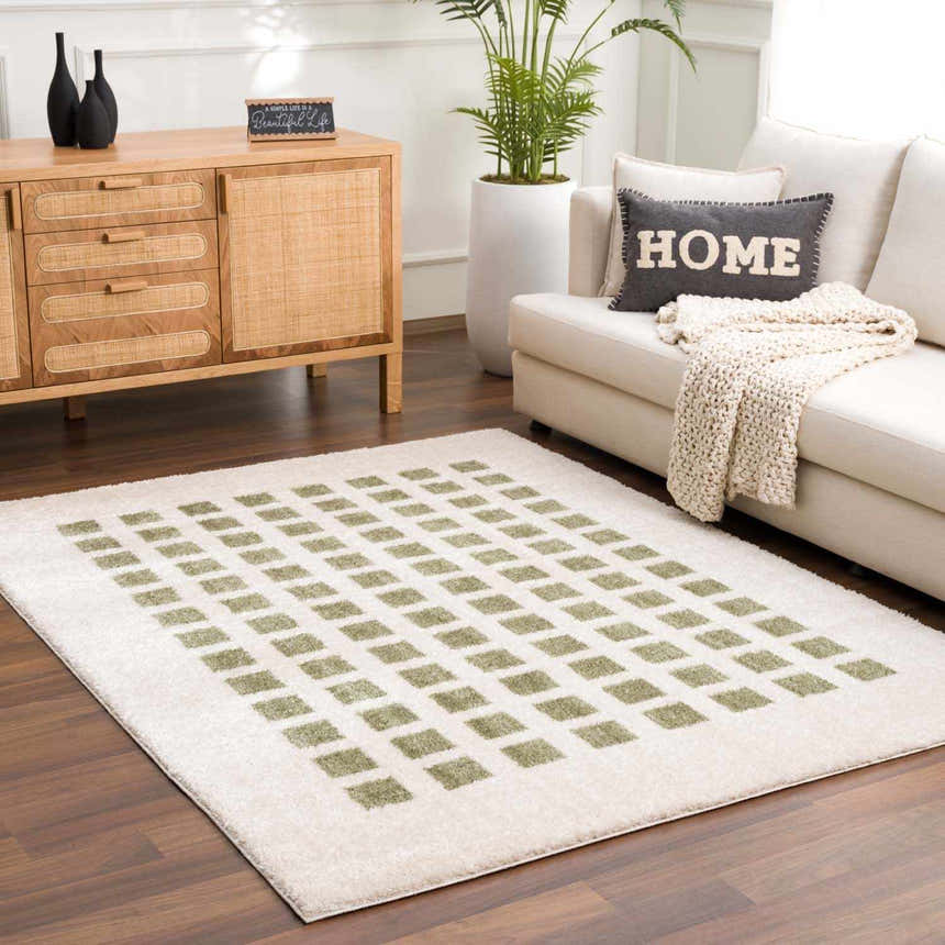 Living room scene with Baback Green Washable Area Rug, cream sofa, wood cabinet, and potted plant. Contemporary style. Roomscene-Rectangle