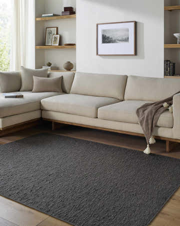 Living room scene with a neutral sectional sofa and Breena Charcoal Washable Area Rug on hardwood floors. Shelves and artwork on the wall. Roomscene-Rectangle
