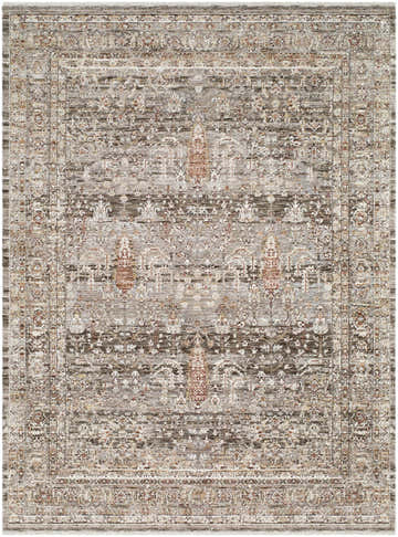 Detailed Brycen Area Rug close-up. Traditional pattern in cream, dark brown, red, gray, and mustard tones. Design-Rectangle-537