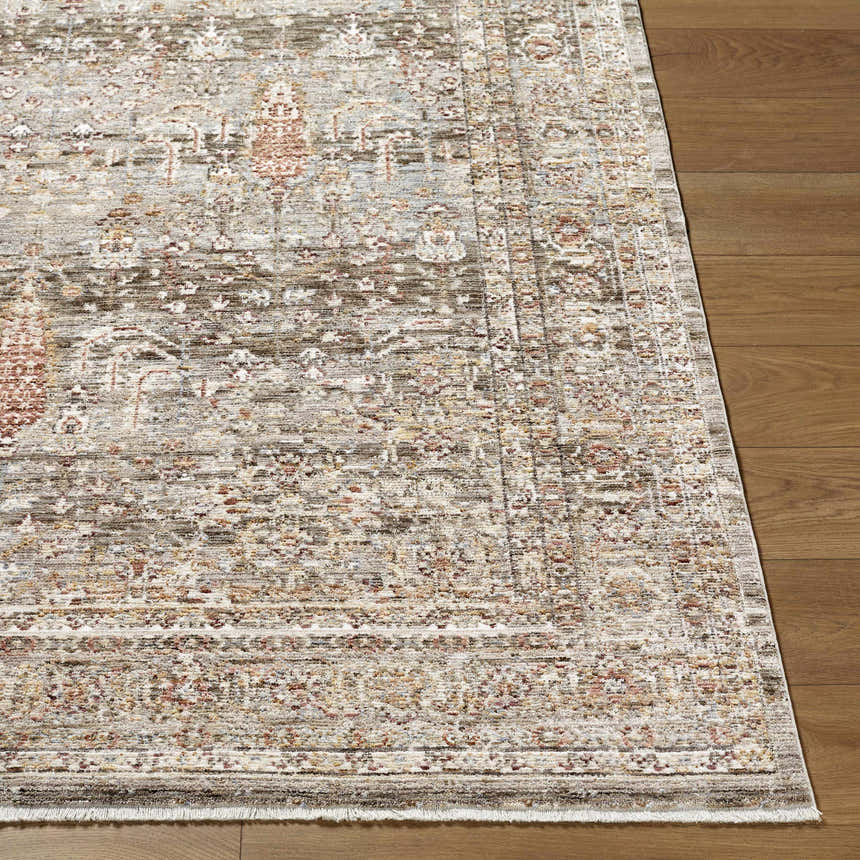 Close-up of the Brycen Area Rug showing its traditional pattern, cream, brown, red, and gray colors, and soft texture. Front