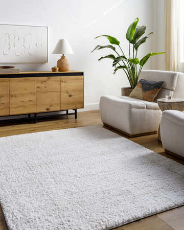 Living room scene with a white Bianca Area Rug, light wood floors, and modern furniture. Roomscene-Rectangle