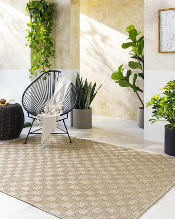 Sunlit patio with chair, plants, and tan Arifah Prairie Dust Area Rug. Farmhouse style, rectangle shape. Roomscene-Rectangle