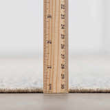 Close-up of the Brushton Area Rug showing its pile height, approximately 1 inch, with a ruler. Pile