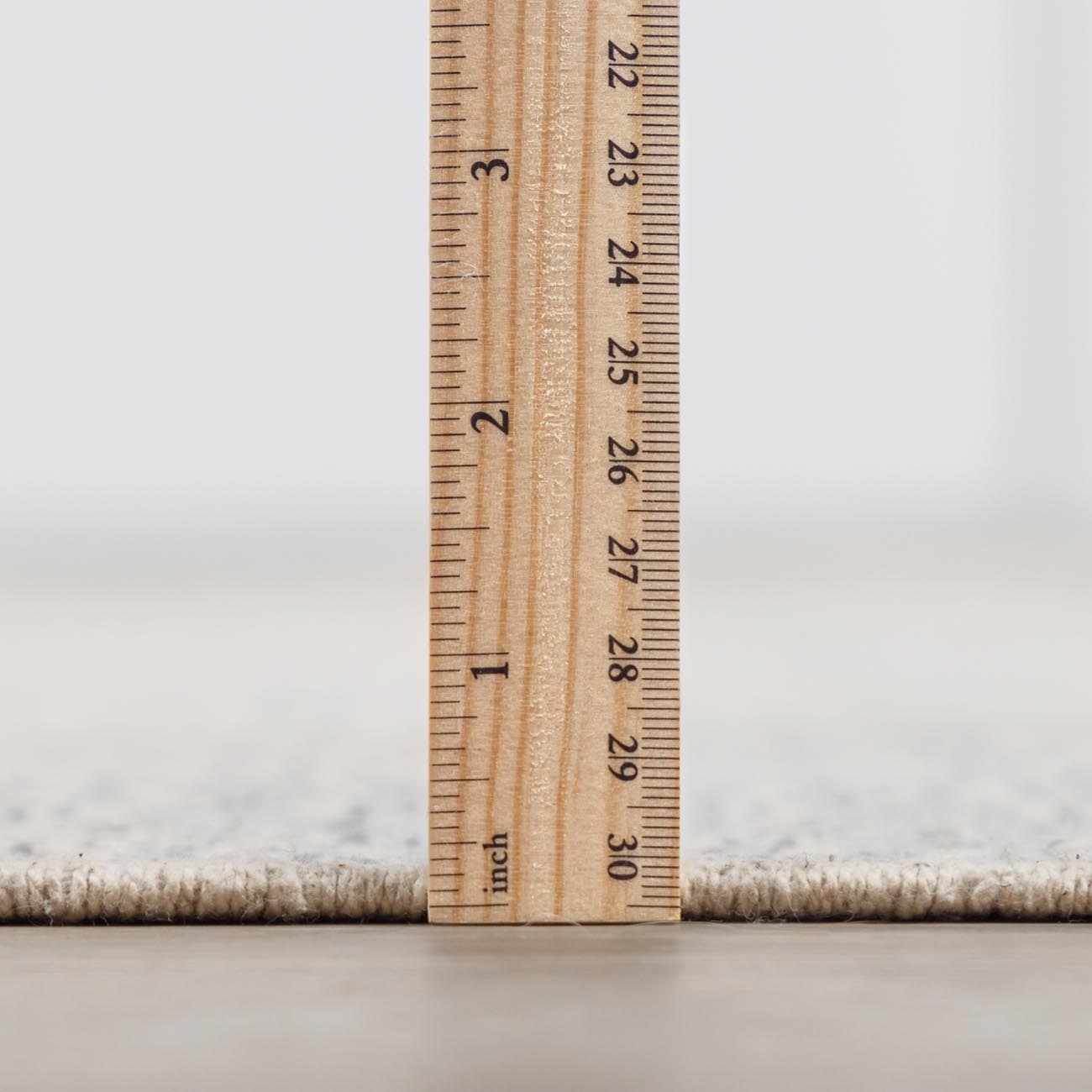 Close-up of the Brushton Area Rug showing its pile height, approximately 1 inch, with a ruler. Pile