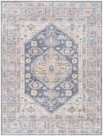 Close-up of the Bethan Washable Area Rug. Beige, navy, and off-white traditional rug with a distressed, vintage-inspired pattern. Design-Rectangle-537