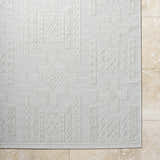Close-up of the light silver Branko Area Rug showing its woven geometric pattern and textured surface. Corner