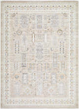 Close-up of Fugia Beige Persian rug. Machine woven polypropylene rug with traditional beige, gray, and gold patterns. Design-Rectangle-537