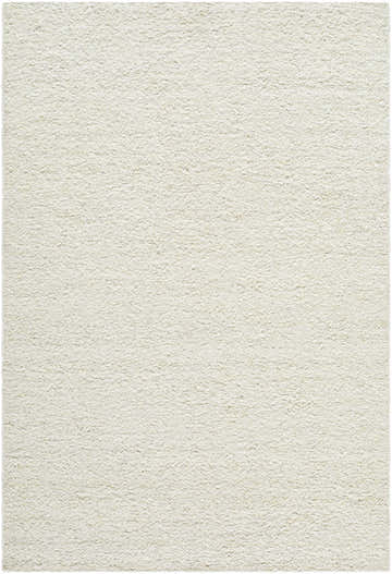 Close-up of the hand-woven Bogdan Off-White Wool Rug, showing its textured wool pile and subtle ash and light silver tones. Design-Rectangle-5377