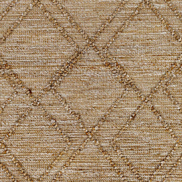 Sample Buse Hand Woven Beige Area Rug - Clearance