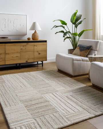 Living room scene with beige Ashtyn Area Rug, light wood cabinet, and cream armchairs. Roomscene-Rectangle