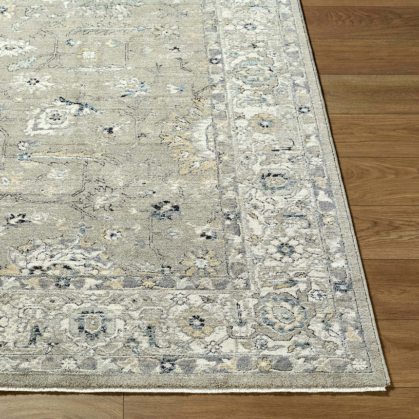 Close-up of the Briony Area Rug showing its farmhouse style, traditional pattern, and neutral color palette. Front