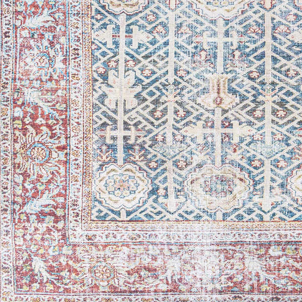 Sample Rust Catadupa Distressed Washable Area Rug - Clearance