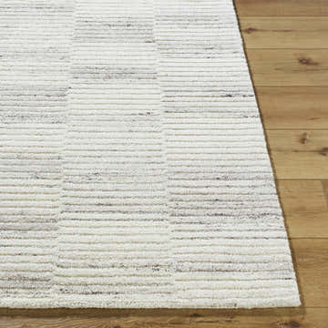 Close-up of the Andred Beige Area Rug. Hand-tufted wool rug with beige, ivory, and light gray horizontal stripes. Front