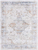 Close-up of the Cargan Area Rug featuring a traditional, distressed pattern in cream, burnt orange, navy, and light gray. Design-Rectangle-537