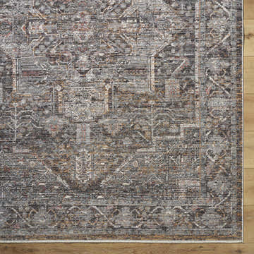 Close-up of the Clovia Area Rug showcasing its traditional pattern in black, gray, ivory, and brown tones. Swatch