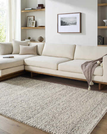 Living room scene with a Clayne Beige & Charcoal wool rug, cream sectional sofa, and light wood shelves. Roomscene-Rectangle