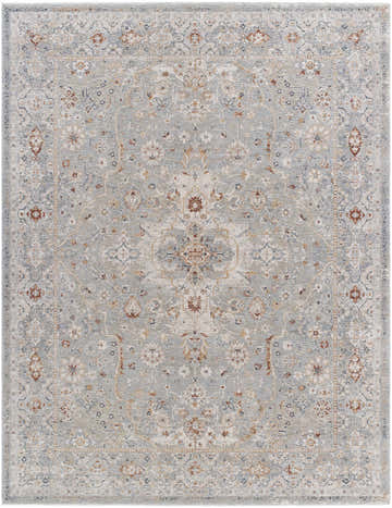 Detailed view of the Chione Cream Area Rug. Traditional floral pattern in aqua, beige, cream, and slate blue. Design-Rectangle-710102