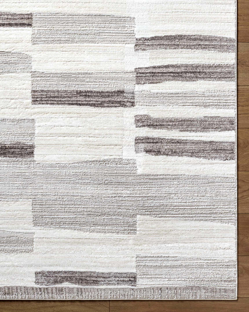 Close-up of the Ananya Area Rug, showcasing its ivory, light brown, and gray contemporary block pattern and textured weave. Corner