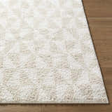 Close-up of the plush Ceylan Area Rug showing its soft shag texture and subtle gray and white pattern. Front