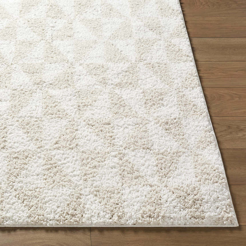 Close-up of the plush Ceylan Area Rug showing its soft shag texture and subtle gray and white pattern. Front