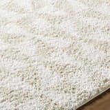 Close-up of the plush Ceylan Area Rug. Soft, shag texture in medium gray and white tones. Texture
