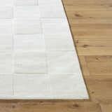 Close-up of the light silver Canice Area Rug showing a subtle square pattern and hand-loomed wool texture. Front